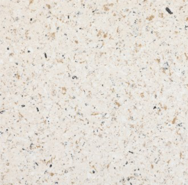 Fossil